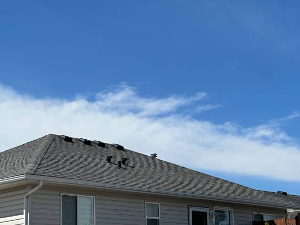 Best Asphalt Shingle Roofing  in Taft, CA