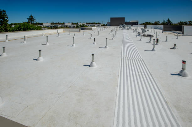 Best Roof Moss and Algae Removal  in Taft, CA